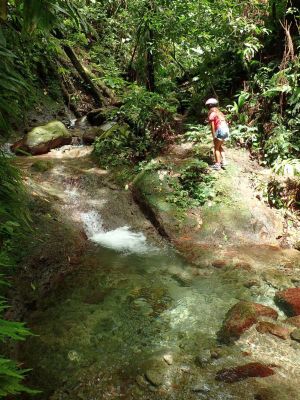 Rivière Dumauzé (Bassin Bleu)