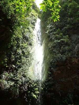 Rivière Dumauzé (Bassin Bleu)