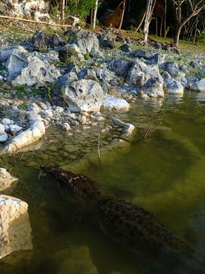 Yaxha