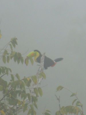 De Tikal à Rio Dulce