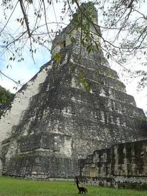 De Tikal à Rio Dulce