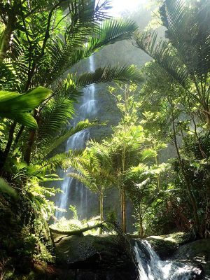 Cascades Trois Bras