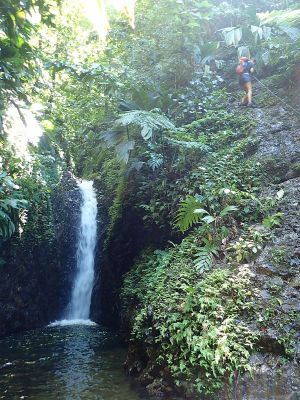 Cascades Trois Bras