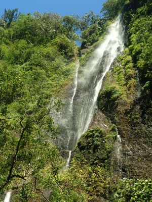 Cascades Trois Bras