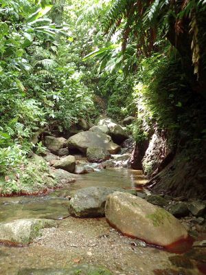 Cascades Trois Bras