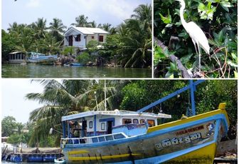 Negombo au Sri Lanka : que faire ? où dormir ?