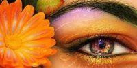 Le blog change de nom et d'adresse Venez voir myriaime.wordpress.com