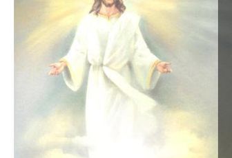 VIDA CALOR LUZ CRISTO