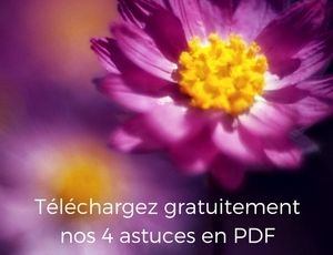 4 astuces indispensables pour améliorer le quotidien