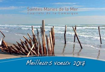 Meilleurs vœux 2017