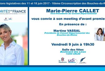 Grand meeting sur Arles