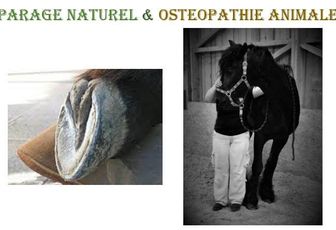 Conférence "Parage Naturel et Ostéopathie Animale" à Challans (85) le vendredi 30 juin à 19h