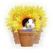 Il avance doucement !!!