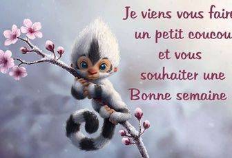 Objectif 5- OK