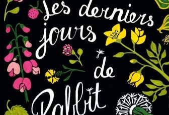 Les derniers jours de Rabbit Hayes d'Anna McPartlin