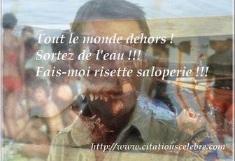 Phrase culte dans le film LES DENTS DE LA MER