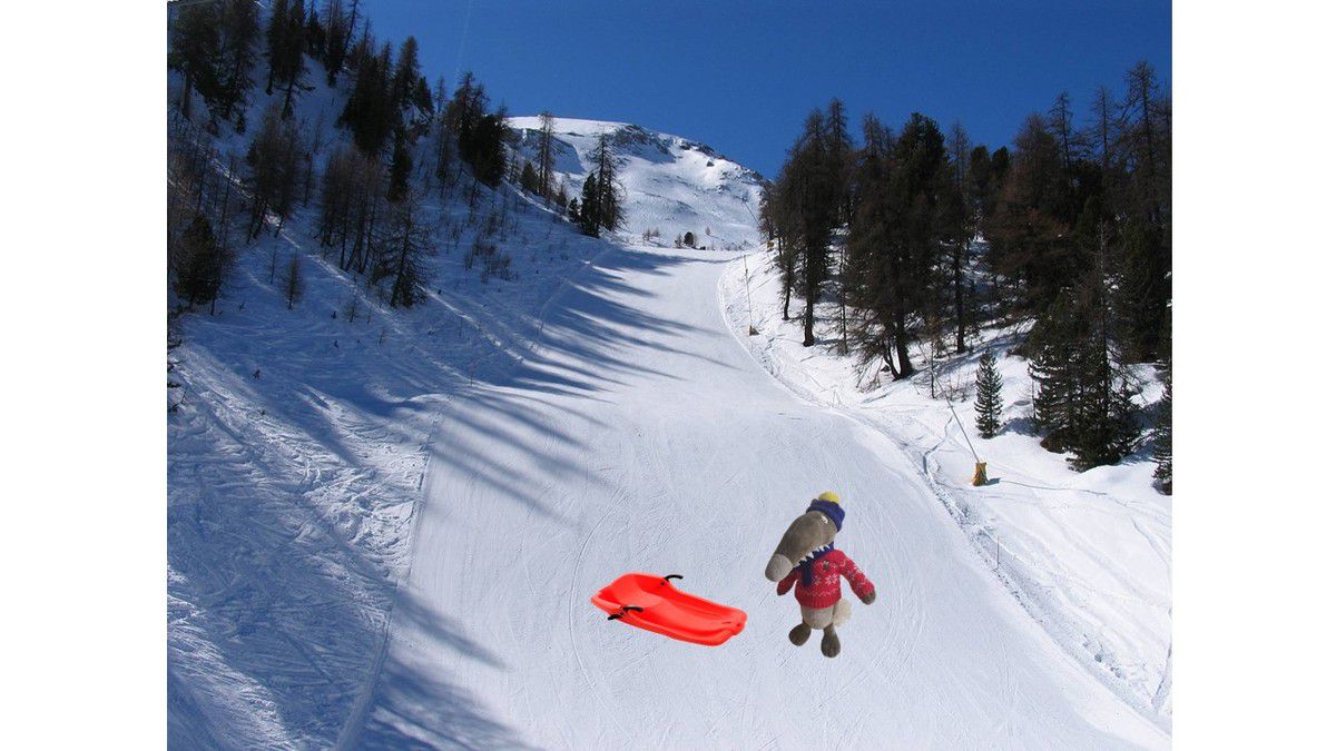 Loup au ski 