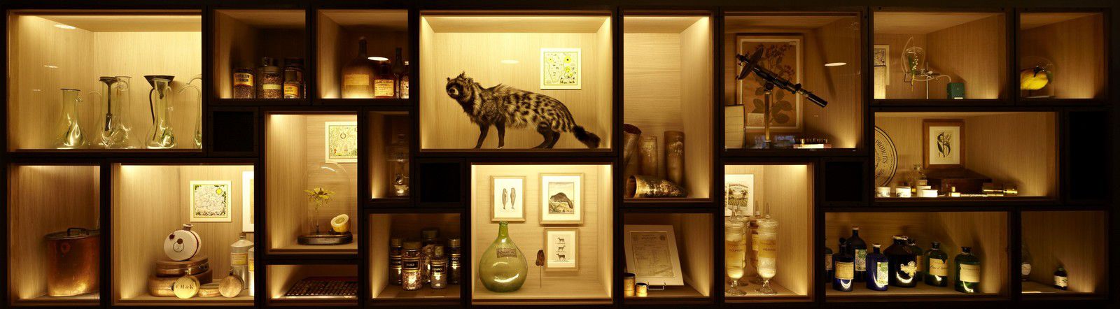 niches de présentation : ingrédients, fioles, outils du parfumeur, au musée Fragonard, à Paris.