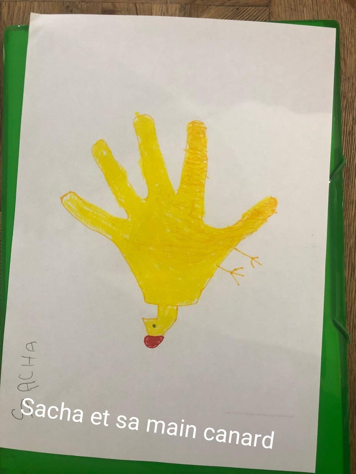 Les Petites mains se transforment La classe virtuelle des Petits