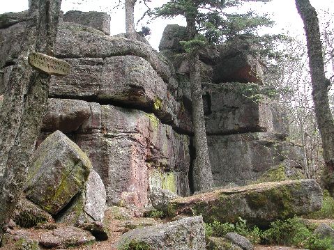 Le chemin des Géants au Mont Taennchel - Histoires et Lieux d'Alsace