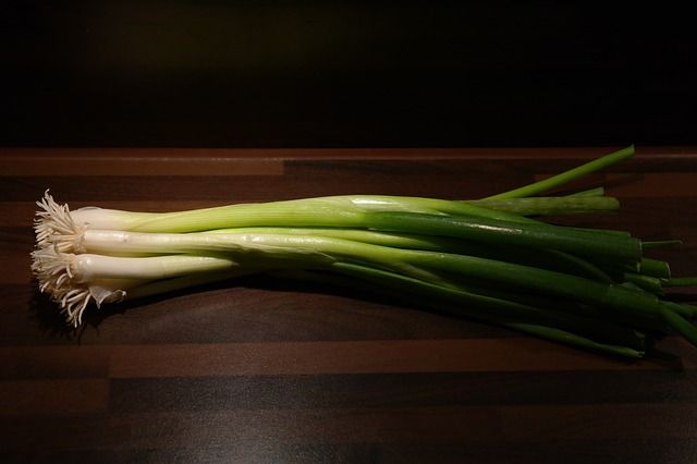 Oignons vert émincés pour la présentation du cari 