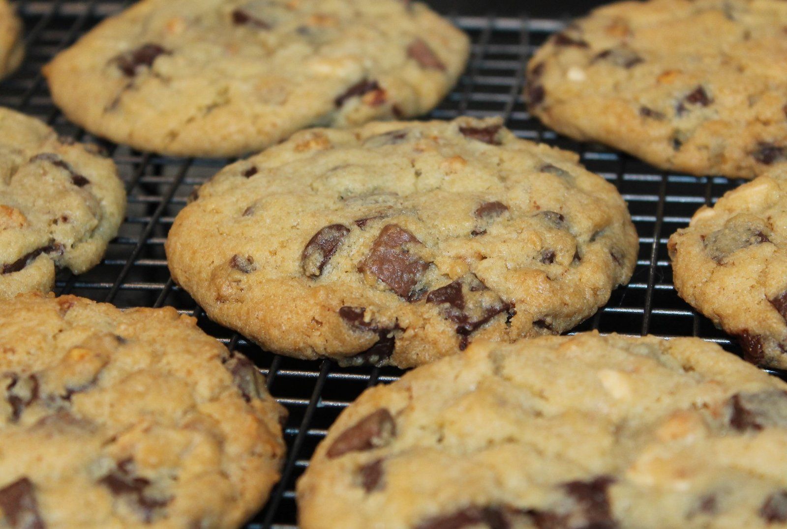 COOKIES "de la mort qui tue" TOC TOC TOQUE