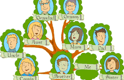 Arbre généalogique en anglais 6ème