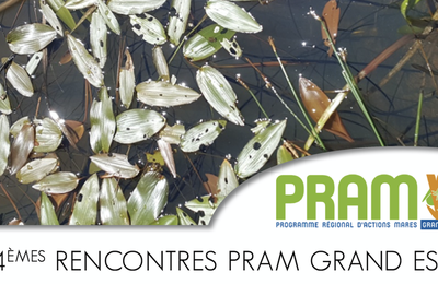CT services de rencontresnormes de datation LDS