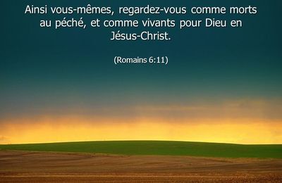 Quel nom invoquer pour le baptême – Partie 6 - Bienvenue sur le ...