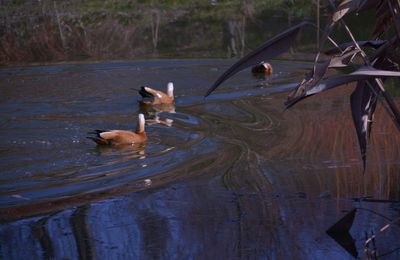 Quand Lamitié Sen Mêle Les Instants Magiques Du Bonheur - 