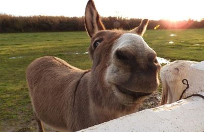 Le premier ministre vous explique la réforme des retraites !