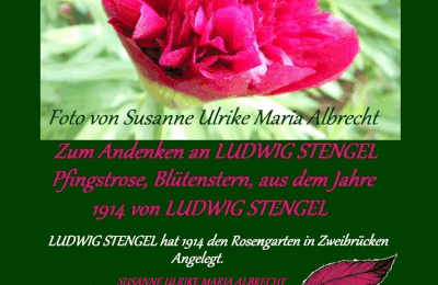 Download Spruch rosengarten For Free