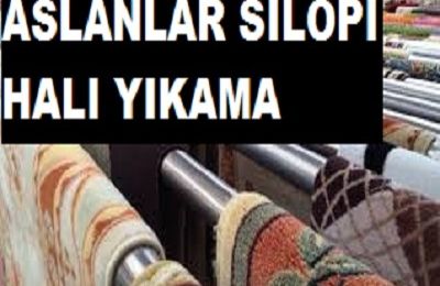 Nuh Hali Yikama Ile Halilariniz 24 Saatte Teslim Akyazi Haber Akyazi Nin Bir Numarali Haber Sitesi Sakarya Haber