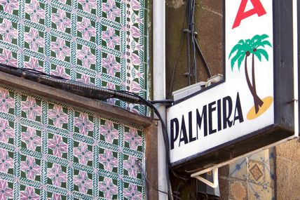 Palmiers (suite)