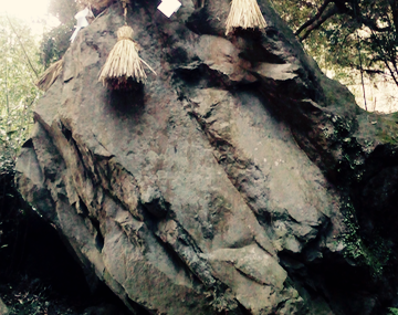 Hakone to Tokyo : des monts aux fripperies.