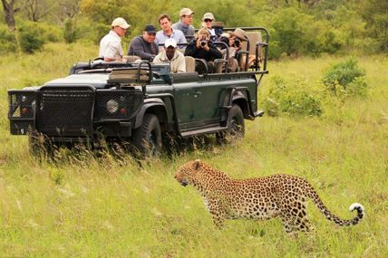 Rajaji Wildlife Safari in Rishikesh