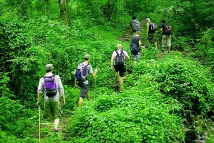 Jungle Trekking in Uttarakhand