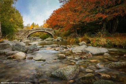 L'automne dans le Parc National des Cévennes