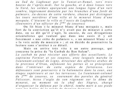 A propos d'une expression " le minaret blanc "