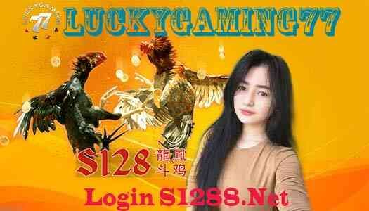 Login S1288 Net