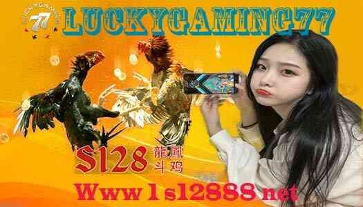 Www 1 s12888 net Manfaat Daun Sirih Untuk Ayam Aduan