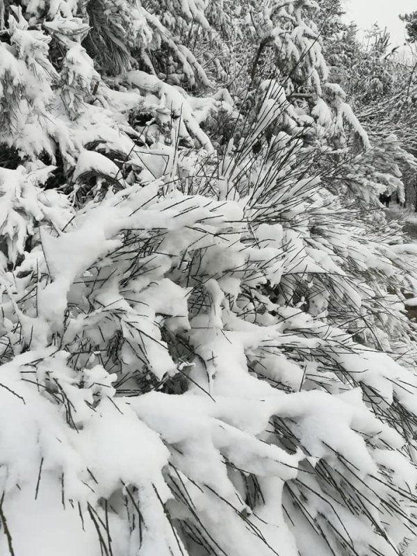 Il neige !!!