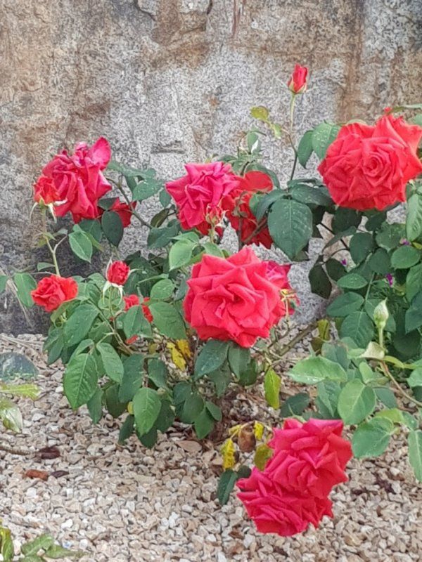Petit tour de jardin