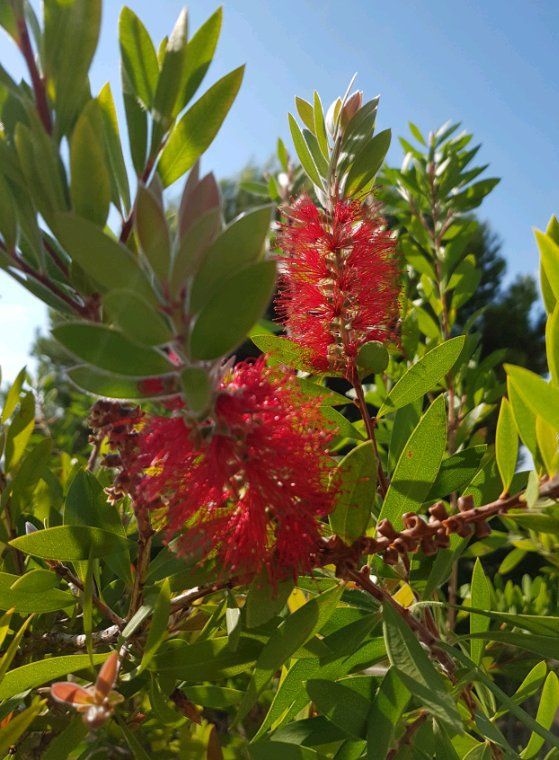Quelques jours dans le sud pour profiter du soleil