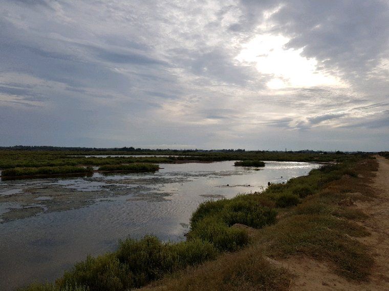 Promenade dans la manade du grand salan