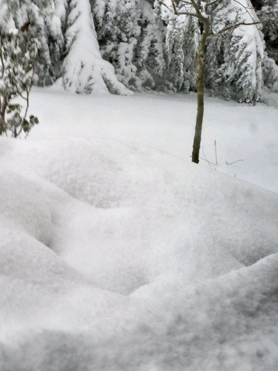 La neige est revenue et c est pas un poisson d'avril