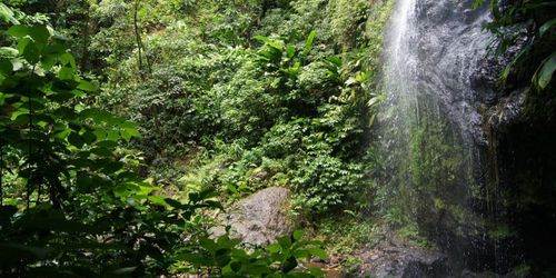 Cascade Couleuvre