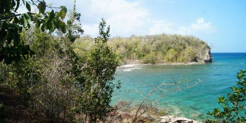 Anse à l'Âne - Anse Noire
