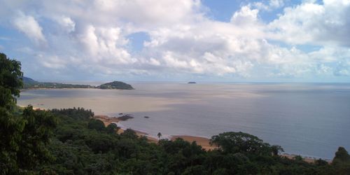Les Lapinous en Guyane : Cayenne et Roura