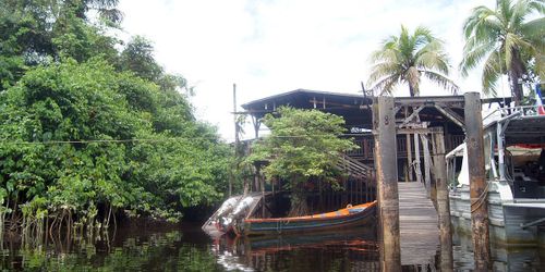 Les Lapinous en Guyane : Cayenne et Roura